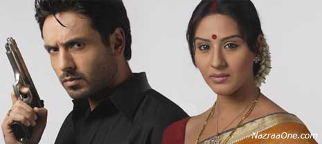 Waaris on Zee - SarKar Raj on Television ?